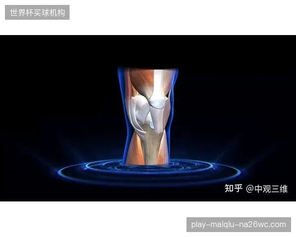 1248名球员将接受1秒钟全身扫描，生成高精度3D模型用于提升判罚准确性。